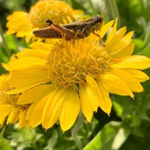 Meet your Posher, Steffany